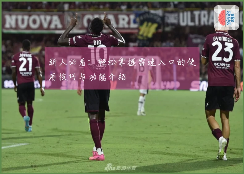 新人必看：轻松掌握雷速入口的使用技巧与功能介绍